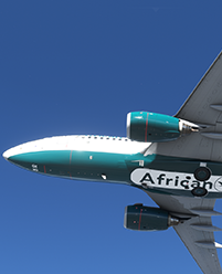 B737-flight